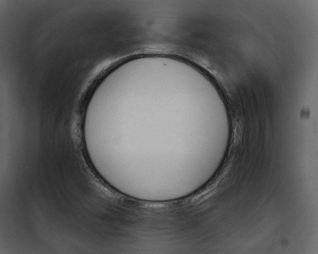 X0000101951454200807171122