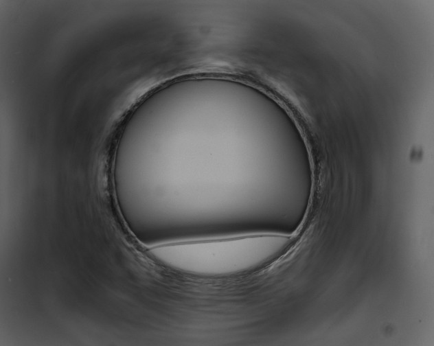X0000101951455200807171122