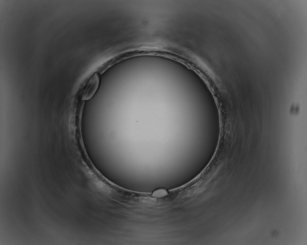 X0000101951456200807171122