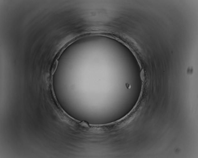 X0000101951457200807171122