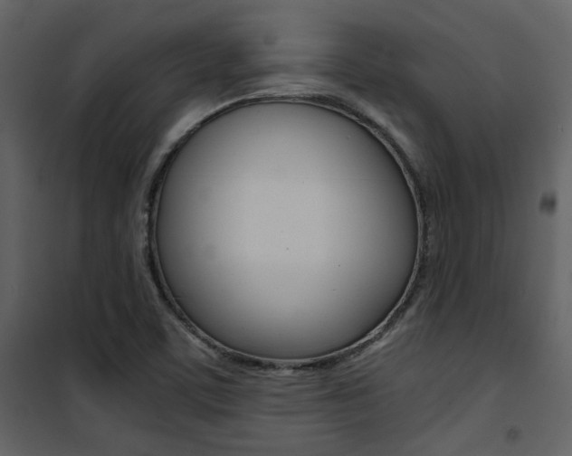X0000101951459200807171122