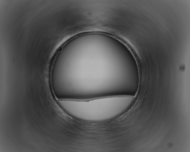 X0000101951460200807171122