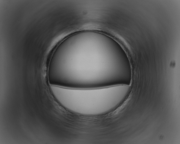 X0000101951461200807171122