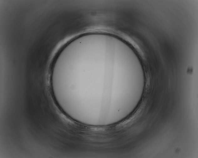 X0000101951462200807171122