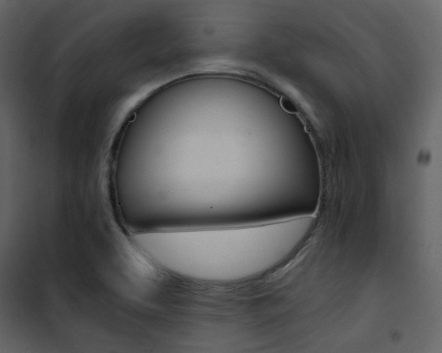X0000101951463200807171122