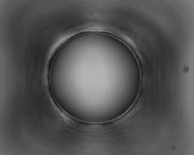 X0000101951464200807171122