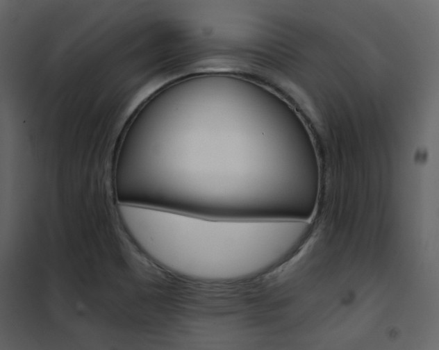 X0000101951465200807171122