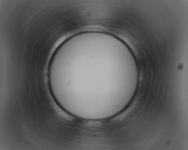 X0000101951466200807171122