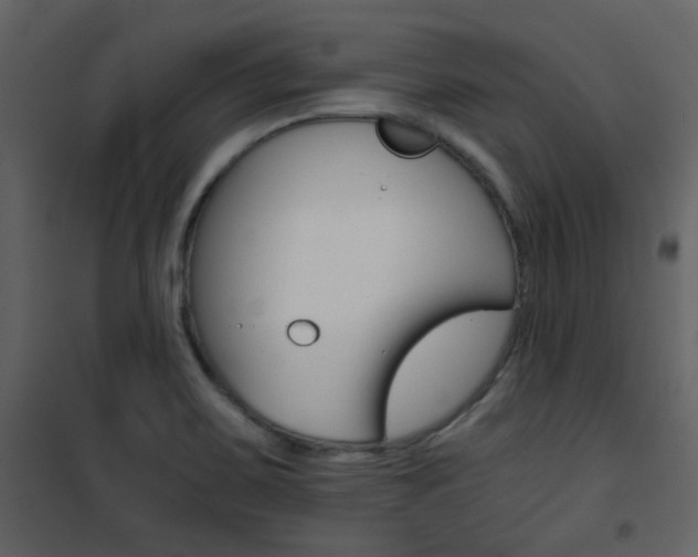 X0000101951467200807171122