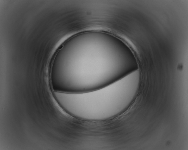 X0000101951468200807171122