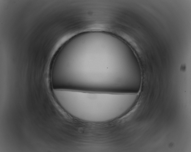 X0000101951469200807171122