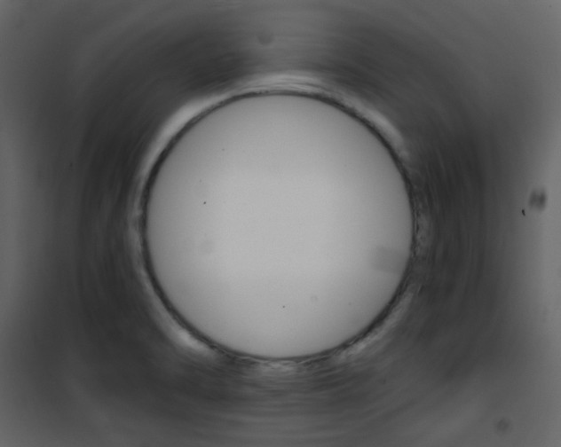 X0000101951470200807171122