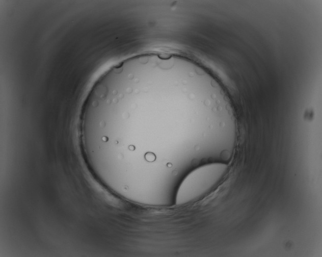 X0000101951471200807171122