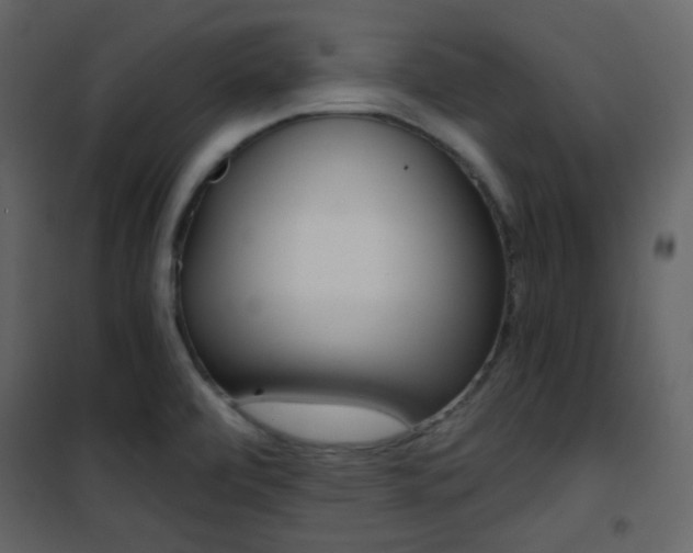 X0000101951472200807171122