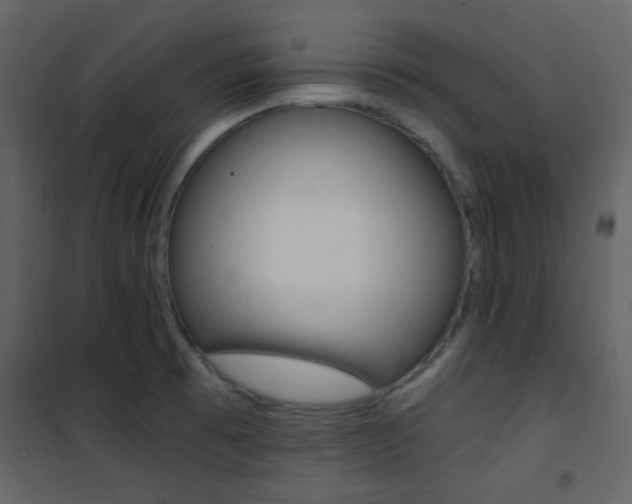 X0000101951473200807171122