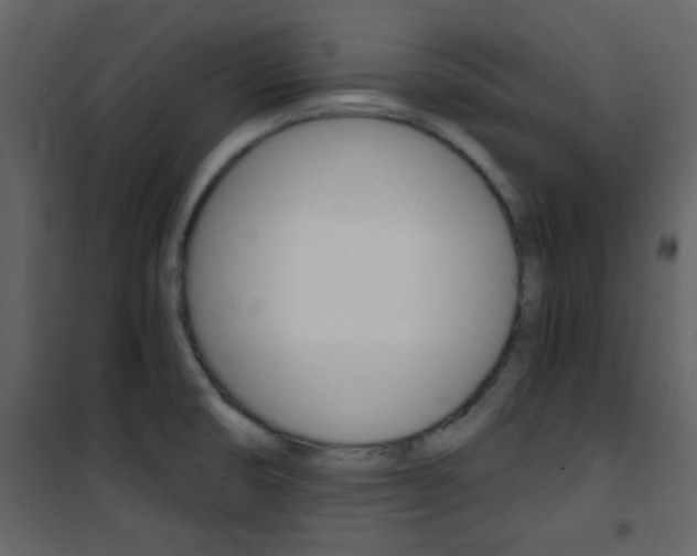X0000101951474200807171122