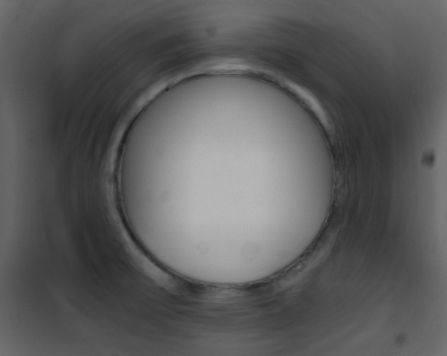 X0000101951475200807171122