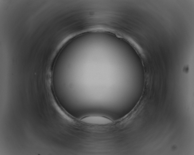 X0000101951476200807171122