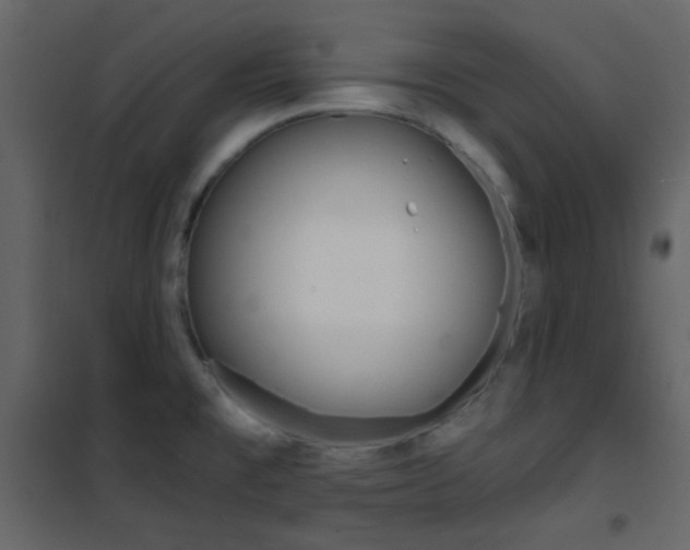 X0000101951477200807171121