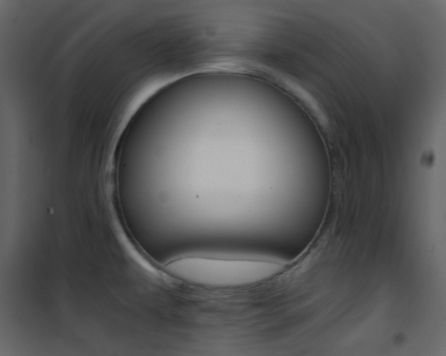X0000101951479200807171121
