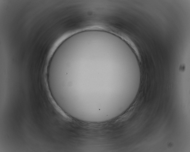 X0000101951480200807171121