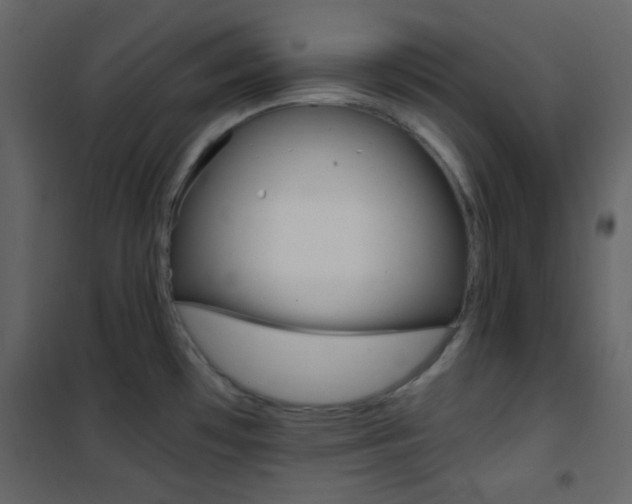 X0000101951481200807171121
