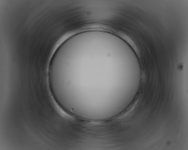 X0000101951482200807171121