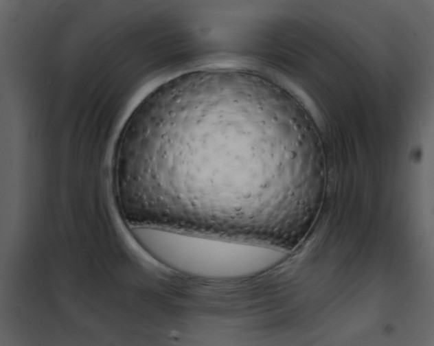 X0000101951483200807171121