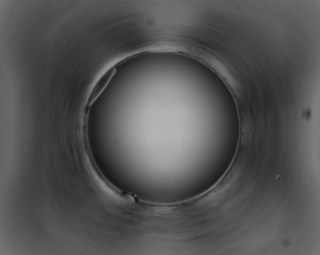 X0000101951484200807171121