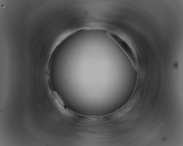 X0000101951485200807171121