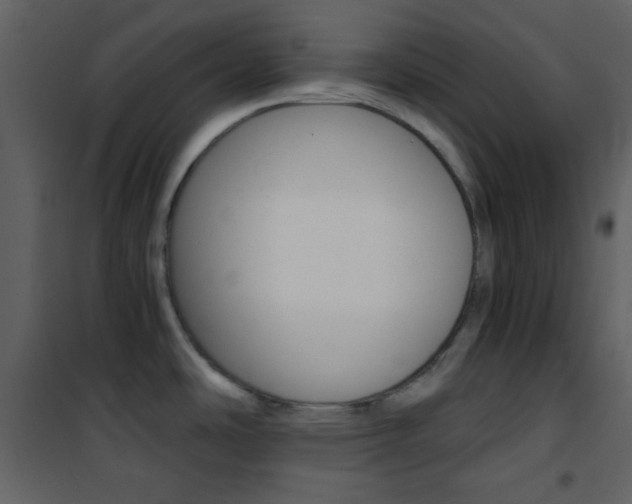 X0000101951486200807171121