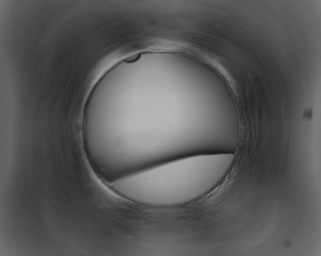 X0000101951487200807171121