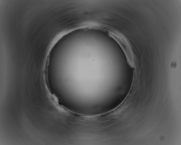 X0000101951488200807171121