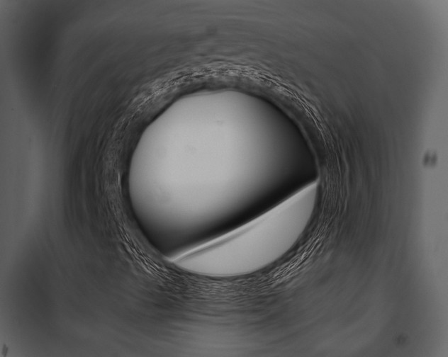 X0000101951489200807171121