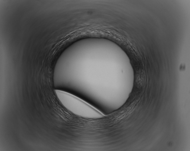 X0000101951490200807171121