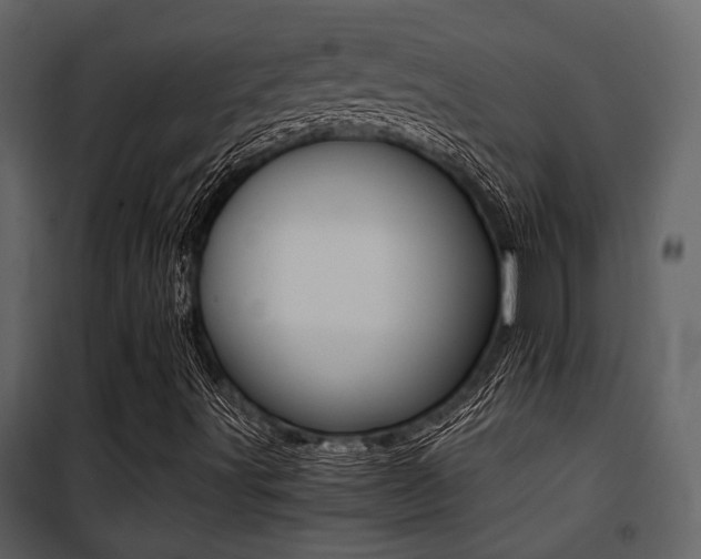 X0000101951491200807171121