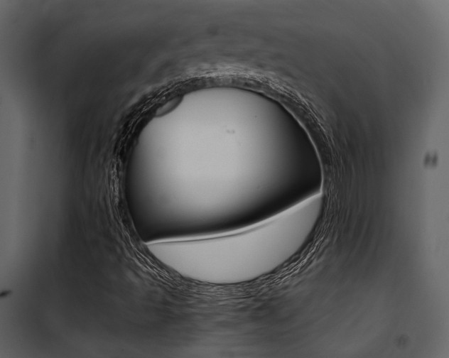 X0000101951493200807171121
