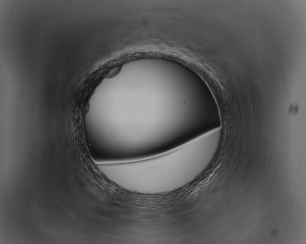 X0000101951494200807171121