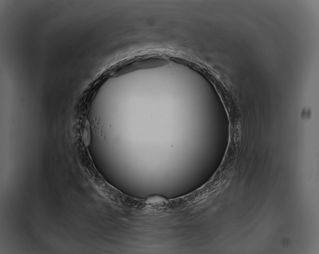 X0000101951496200807171121