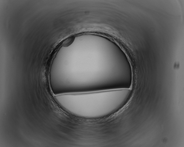 X0000101951497200807171121