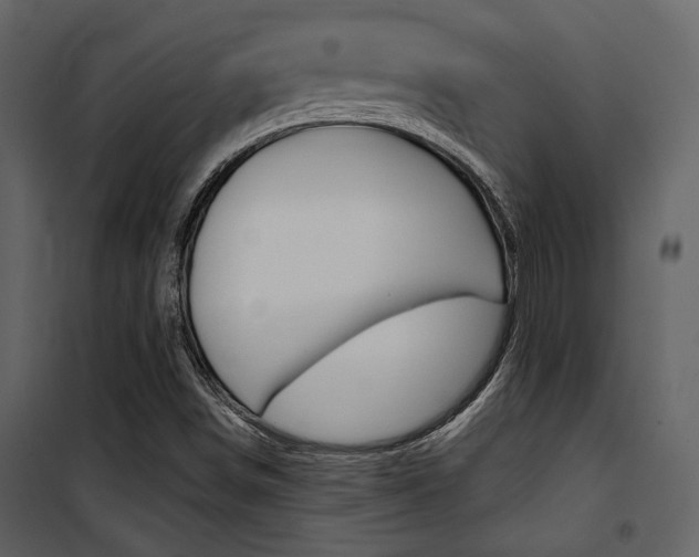 X0000101951498200807171121