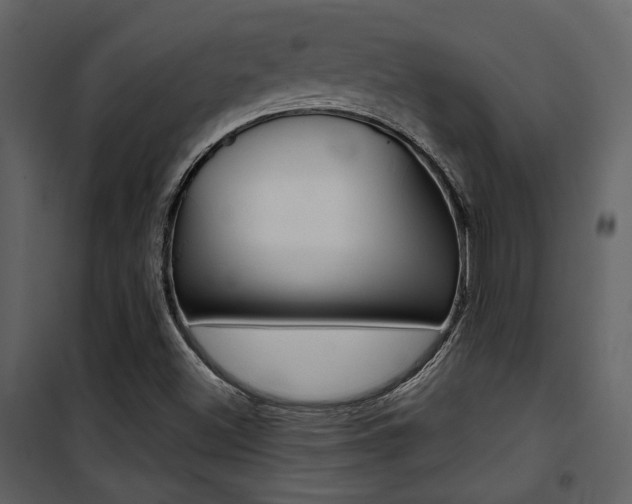 X0000101951500200807171121
