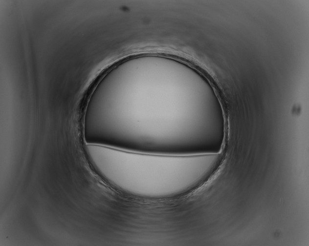 X0000101951501200807171121