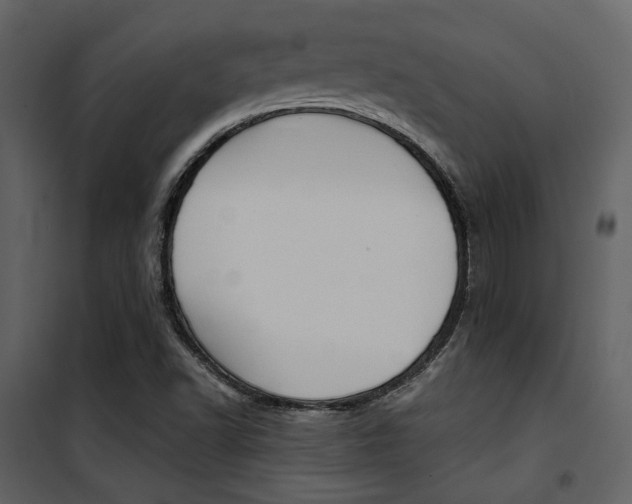 X0000101951502200807171121