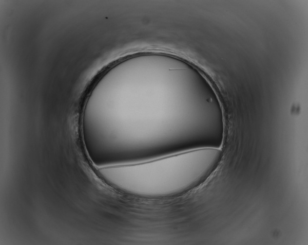 X0000101951503200807171121