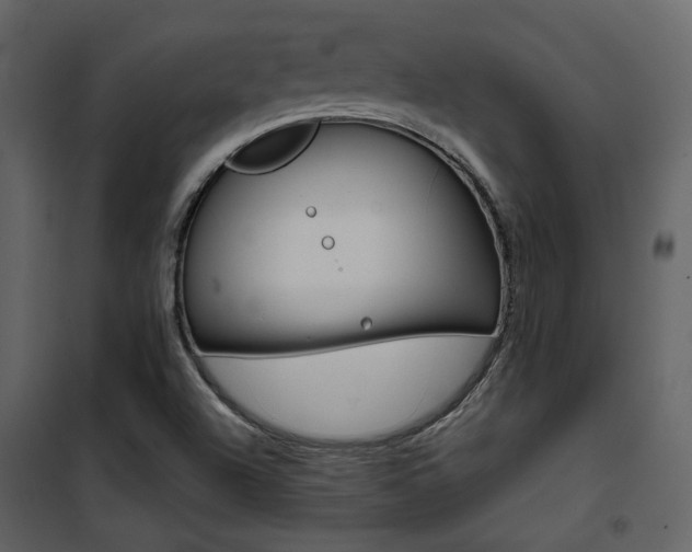 X0000101951504200807171121
