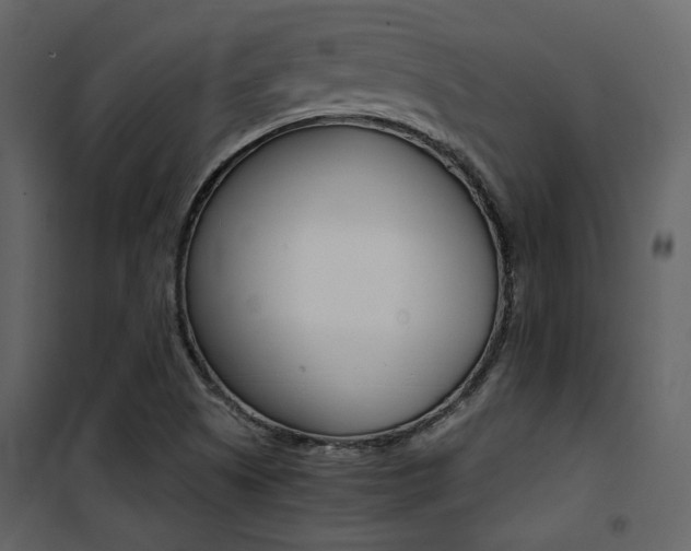 X0000101951505200807171121