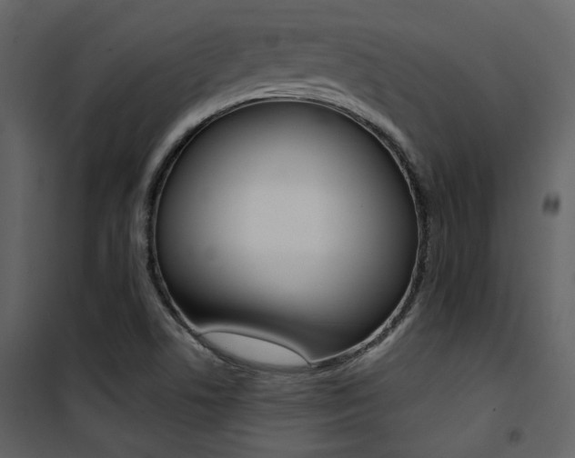 X0000101951506200807171121
