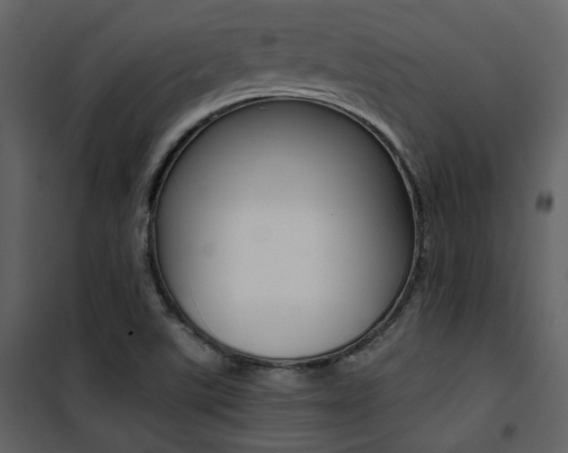 X0000101951507200807171121