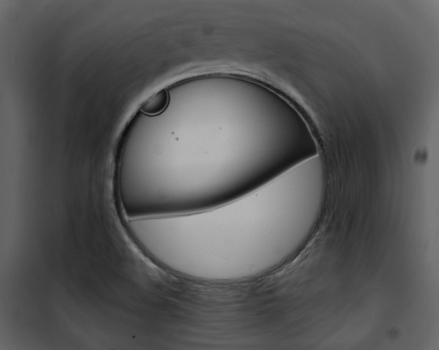 X0000101951508200807171121